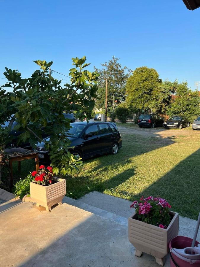 Villa Panorama 艾斯普罗瓦塔 外观 照片